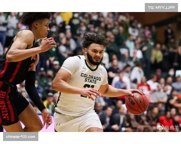 大卫罗迪力量对抗优势 掘金锋线硬度因此得到增强